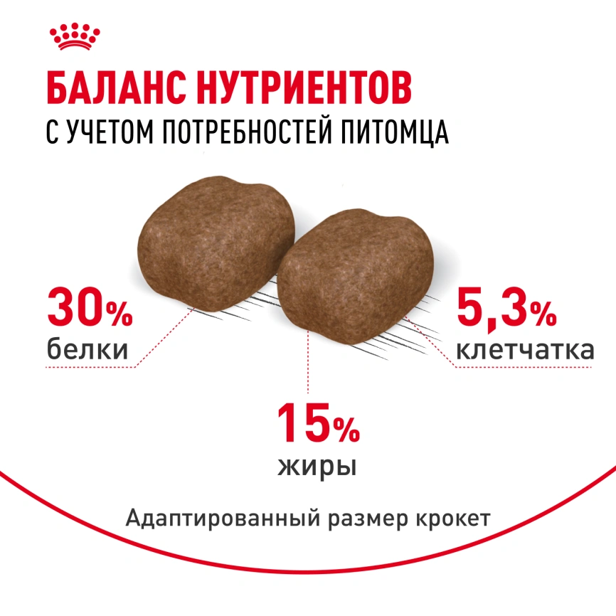 Сухой корм Royal Canin Dental Care для кошек, 1.5 кг фото 4