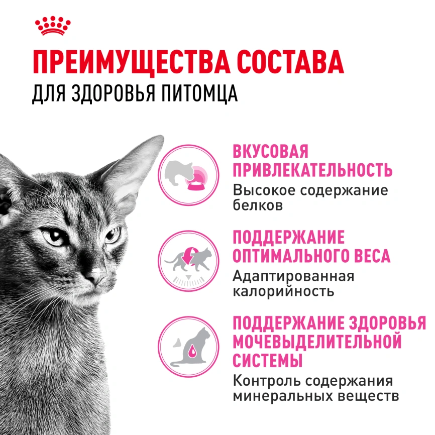 Сухой корм Royal Canin Protein Exigent для кошек, фото 3