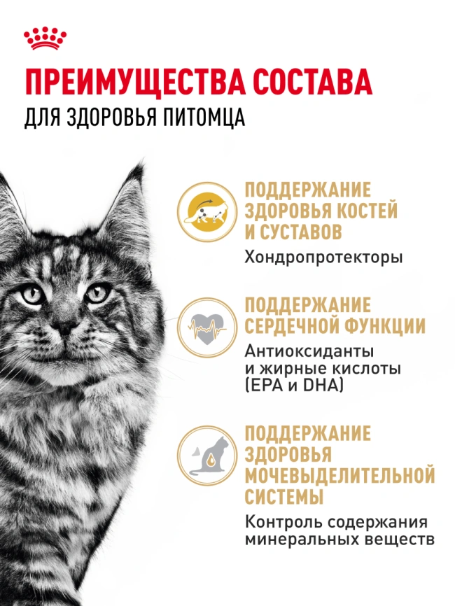 Сухой корм Royal Canin Maine Coon для кошек, 4 кг фото 24