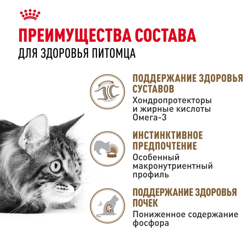 Влажный корм Royal Canin Ageing 12+ в соусе для стареющих кошек старше 12 лет, пауч, 85 г фото 2
