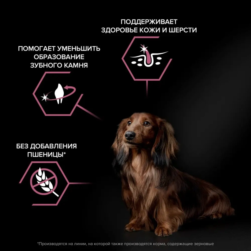 Сухой корм Purina Pro Plan Adult Small & Mini Sensitive Skin для собак мелких пород, лосось и рис, 7 кг фото 2