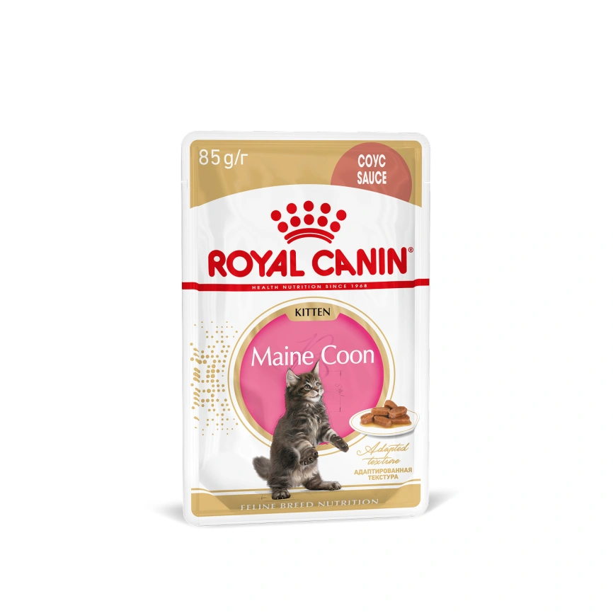 Влажный корм Royal Canin Maine Coon Kitten в соусе для котят породы мейн-кун и других крупных пород старше 3 месяцев, пауч, 85 г фото 27