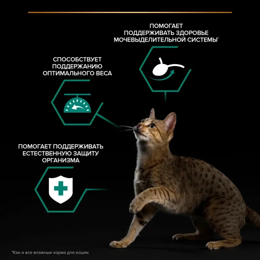 Влажный корм Purina Pro Plan Sterilised Maintenance для стерилизованных кошек, с индейкой в соусе, 85 г фото 2