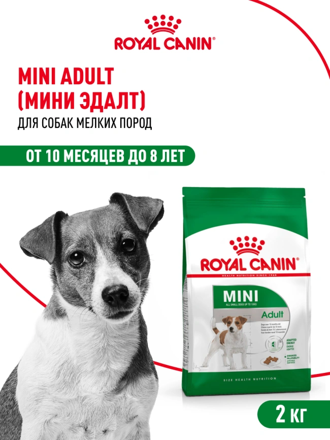 Сухой корм Royal Canin Mini Adult для взрослых собак, 2 кг фото 13