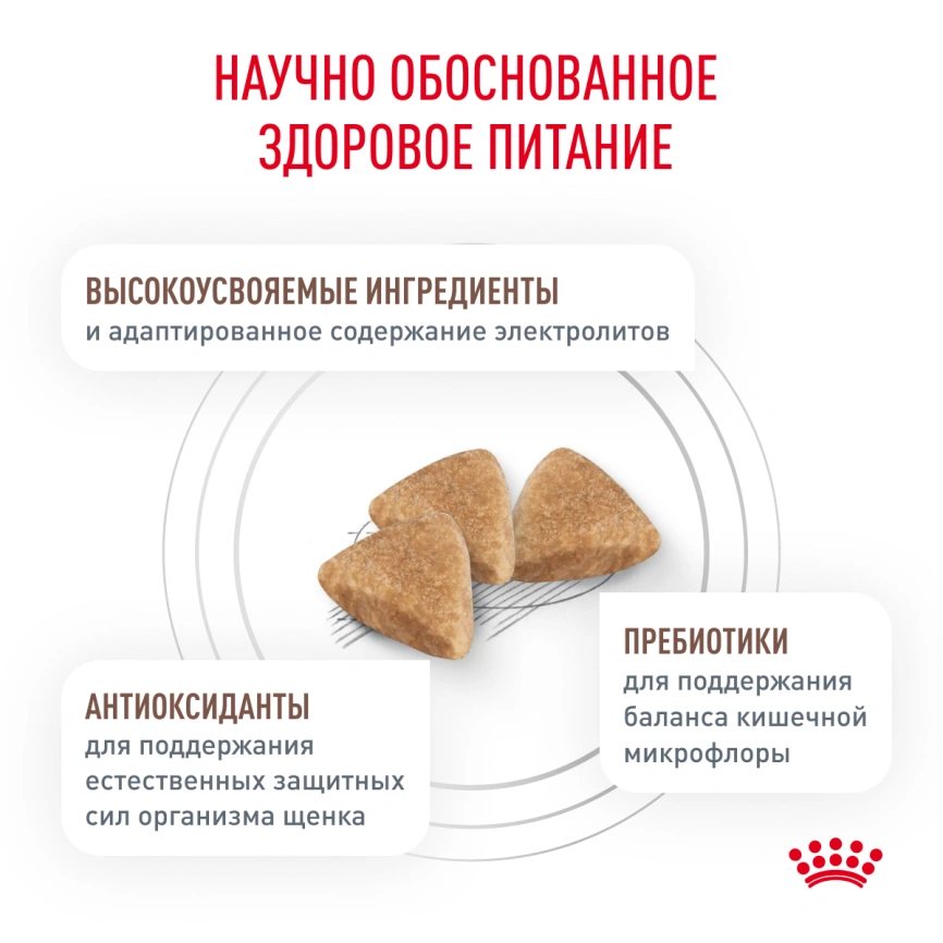 Сухой корм Royal Canin Gastrointestinal Puppy для щенков, 10 кг фото 4