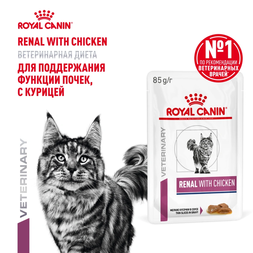 Влажный корм Royal Canin Renal with Chicken в соусе для кошек при заболеваниях почек, с курицей, пауч, 85 г фото 14