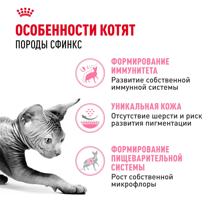Сухой корм Royal Canin Kitten Sphynx для котят, 2 кг фото 2