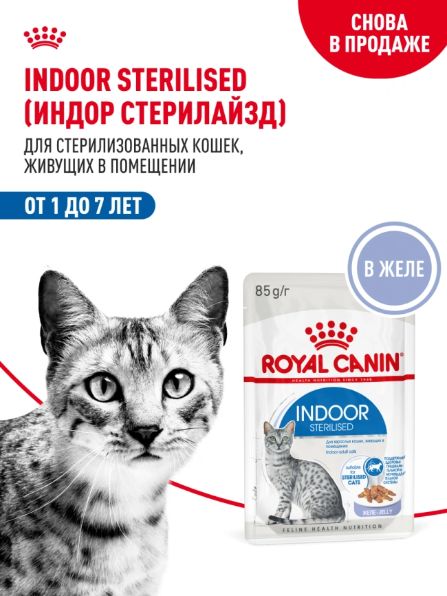Влажный корм Royal Canin Indoor в желе для кошек, живущих в помещении, пауч, 85 г фото 14