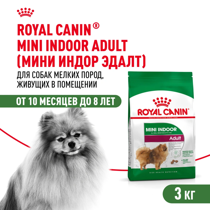 Сухой корм Royal Canin Mini Indoor Adult для собак, 10 кг фото 1