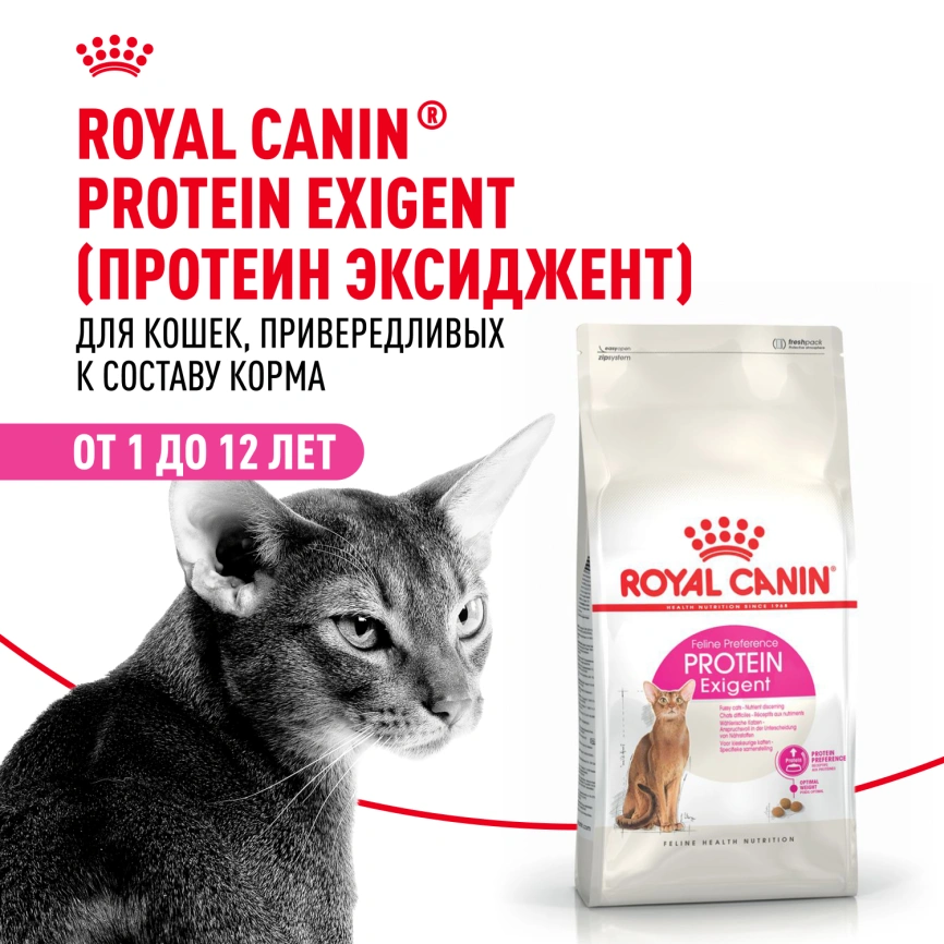 Сухой корм Royal Canin Protein Exigent для кошек, фото 12