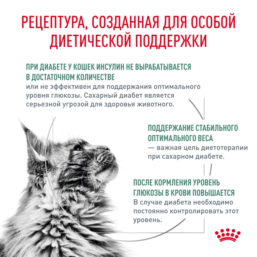Сухой корм Royal Canin Diabetic для кошек, 350 г фото 2