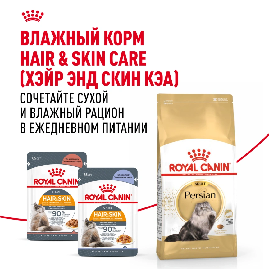 Сухой корм Royal Canin Persian для кошек персидской породы, 10 кг фото 8
