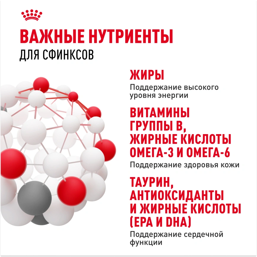 Сухой корм Royal Canin Sphynx для кошек породы сфинкс, 400 г фото 5