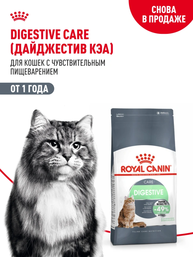 Сухой корм Royal Canin Digestive Care для кошек, 2 кг фото 13