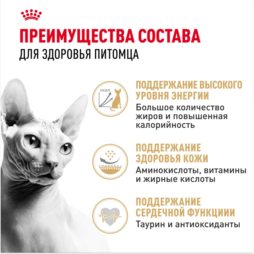 Сухой корм Royal Canin Sphynx для кошек породы сфинкс, 2 кг фото 3