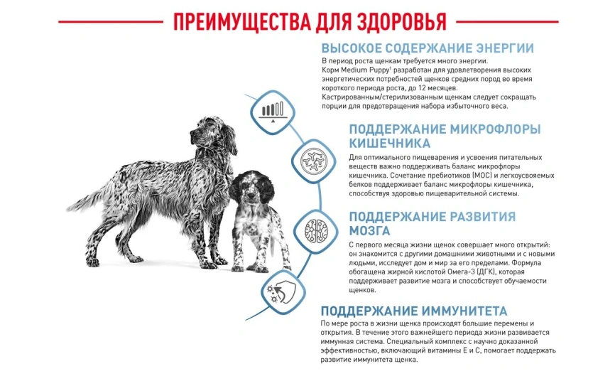 Сухой корм Royal Canin Medium Puppy для щенков, 14 кг фото 15