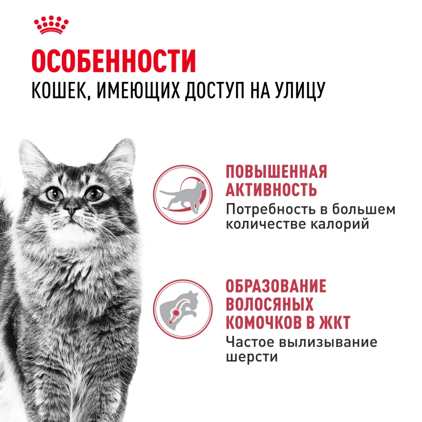 Сухой корм Royal Canin Fit для кошек, 15 кг фото 3