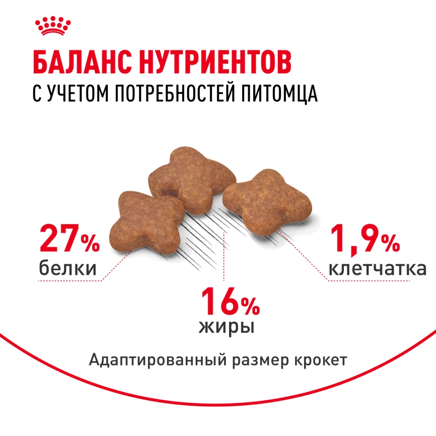 Сухой корм Royal Canin Mini Adult для взрослых собак, 4 кг фото 4