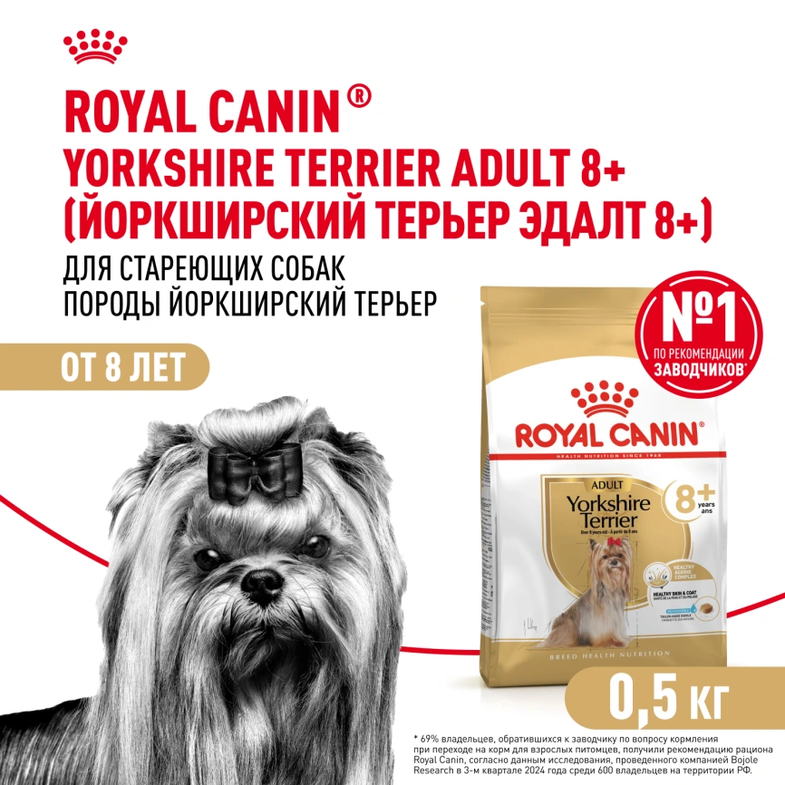 Сухой корм Royal Canin Yorkshire Terrier Adult 8+ для собак породы йоркширский терьер, 500 г фото 1