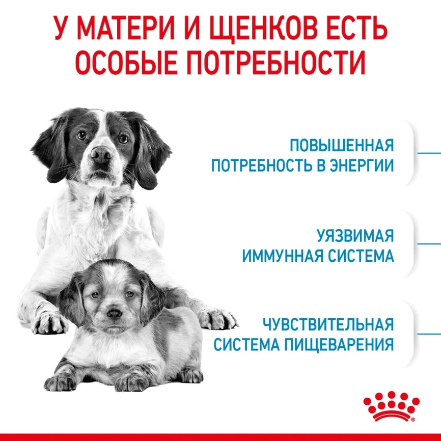 Сухой корм Royal Canin Medium Starter Mother & Babydog для собак, 12 кг фото 4