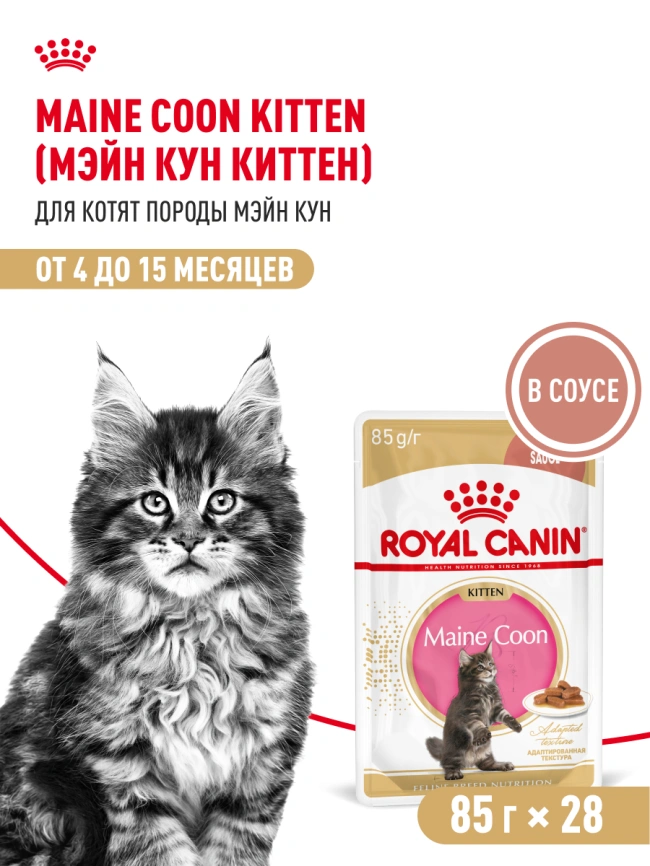 Влажный корм Royal Canin Maine Coon Kitten в соусе для котят породы мейн-кун и других крупных пород старше 3 месяцев, пауч, 85 г фото 14
