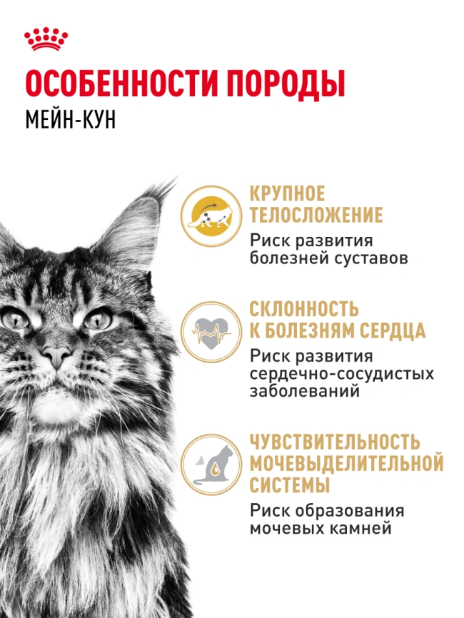 Сухой корм Royal Canin Maine Coon для кошек, 2 кг фото 23