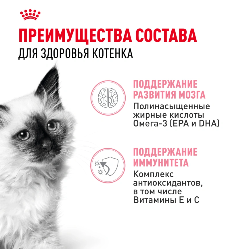 Влажный корм Royal Canin Kitten в соусе для котят до 12 месяцев, пауч, 85 г фото 12
