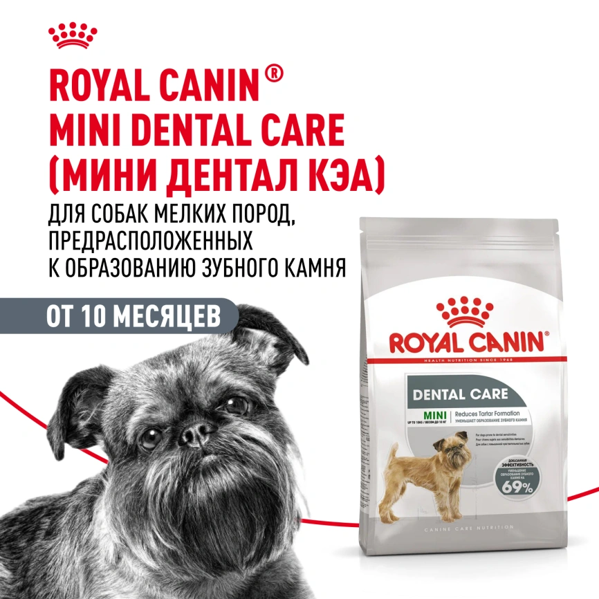 Сухой корм Royal Canin Mini Dental Care для собак, 1 кг фото 13
