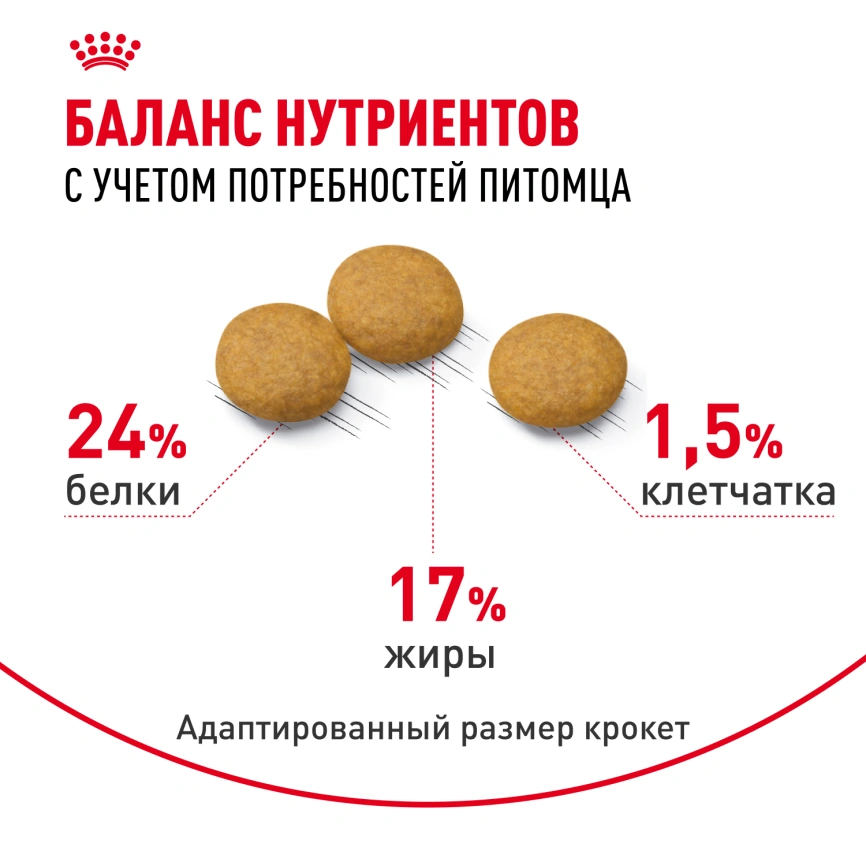 Сухой корм Royal Canin Medium Dermacomfort для собак, 10 кг фото 4