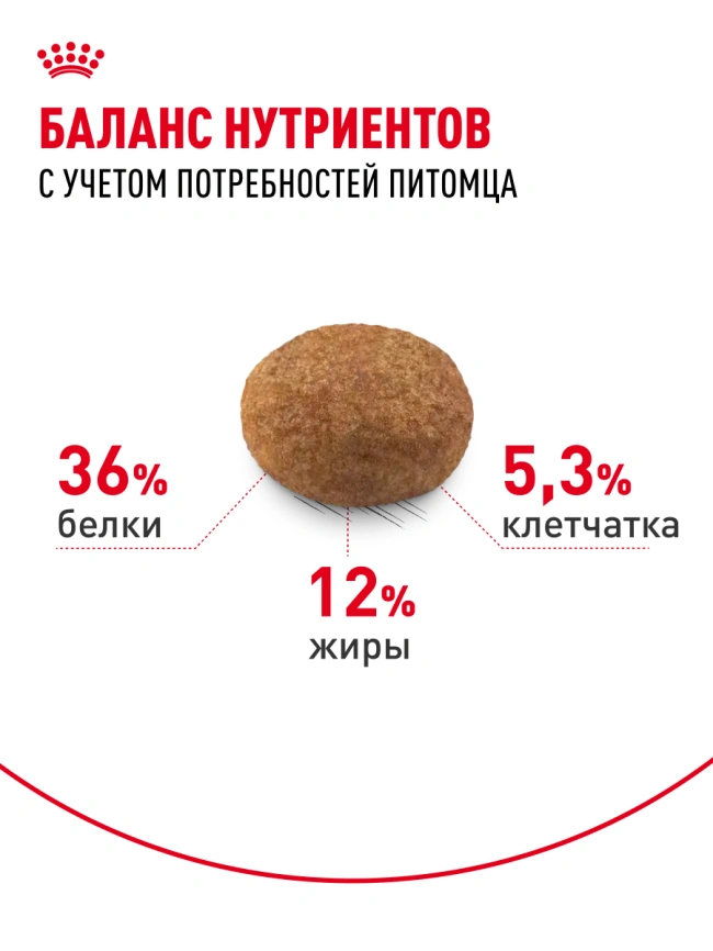 Сухой корм Royal Canin Sterilised 7+ для стерилизованных кошек и кастрированных котов, 3.5 кг фото 17