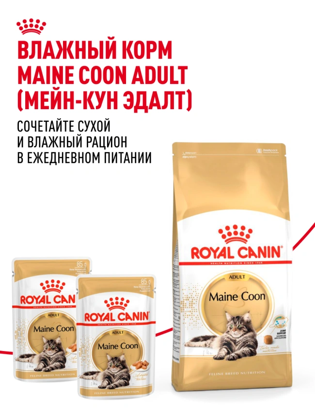 Сухой корм Royal Canin Maine Coon для кошек, 10 кг фото 29
