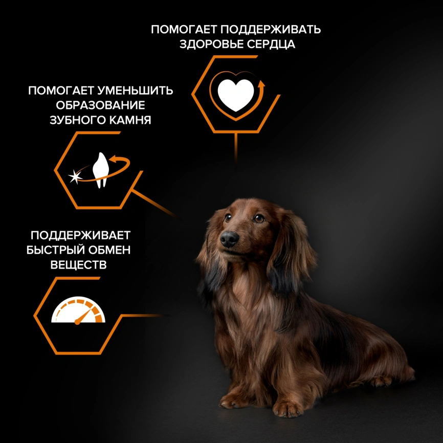 Сухой корм Purina Pro Plan Adult Small & Mini  для взрослых собак мелких и карликовых пород, курица и рис, 7 кг фото 2