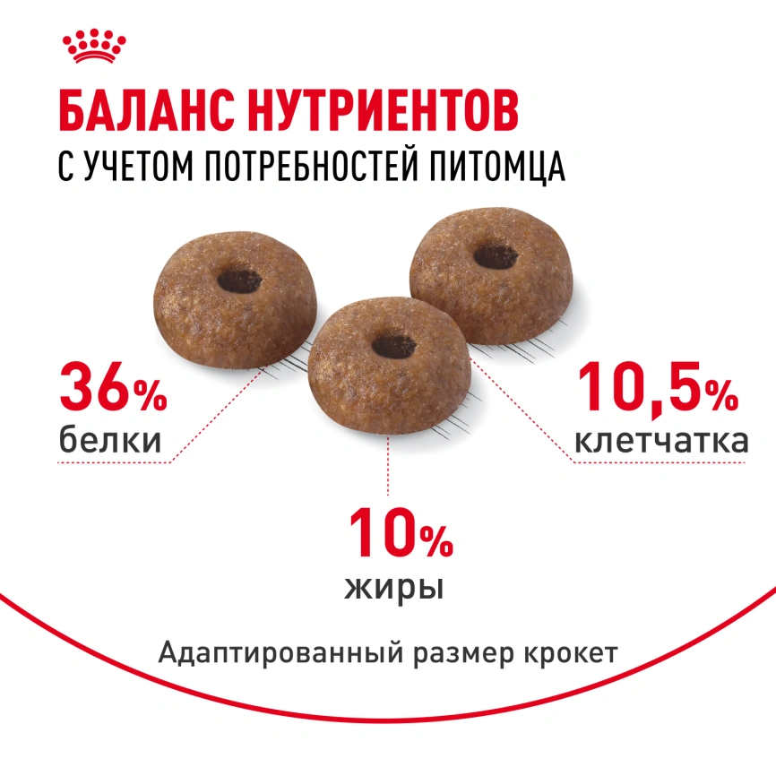 Сухой корм Royal Canin Light Weight Care для кошек, 1.5 кг фото 4