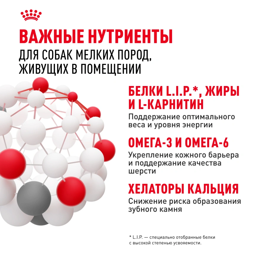 Сухой корм Royal Canin Mini Indoor Adult для собак, 500 г фото 5
