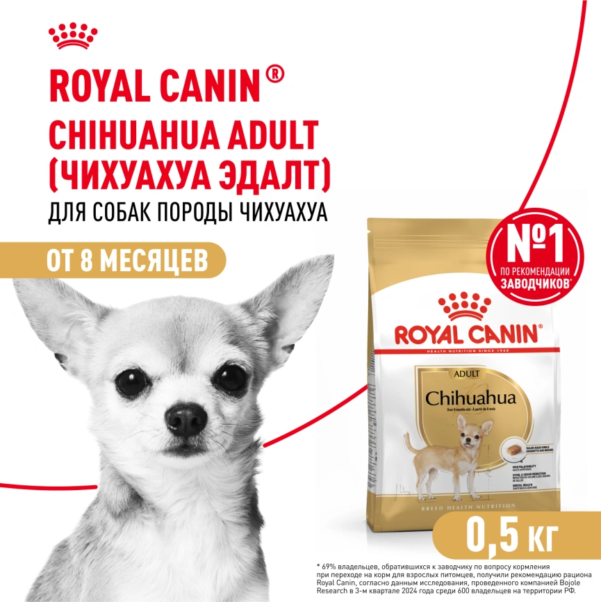 Сухой корм Royal Canin Chihuahua Adult для собак породы чихуахуа, 500 г фото 1