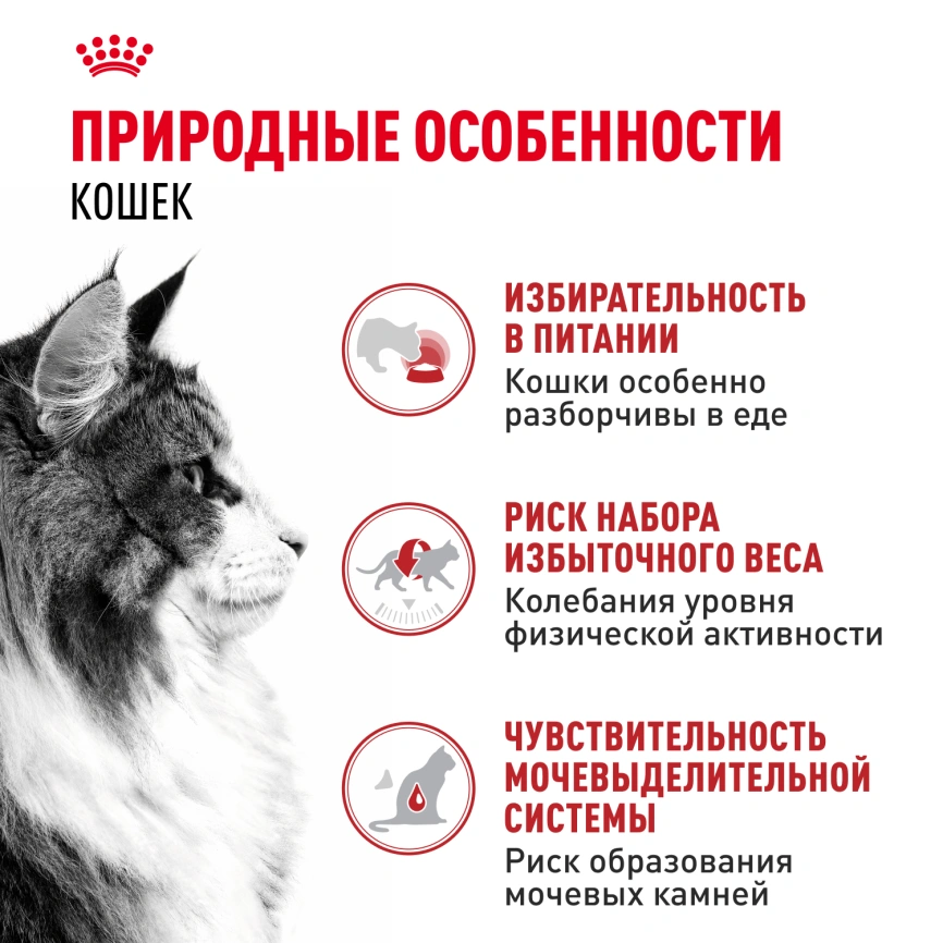 Влажный корм Royal Canin Instinctive в соусе для взрослых кошек старше 1 года, пауч, 85 г фото 2