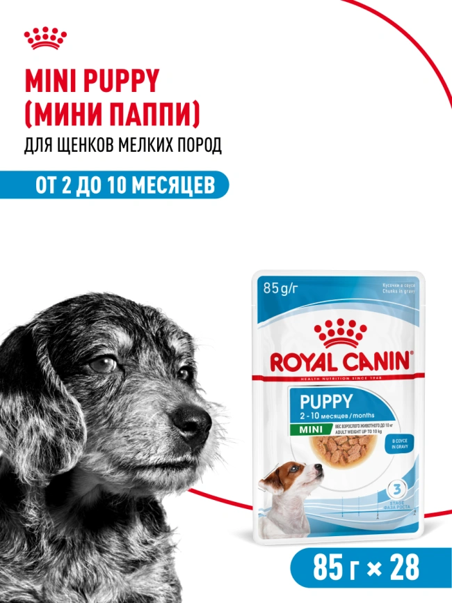 Влажный корм Royal Canin Mini Puppy в соусе для щенков мелких пород до 10 месяцев, пауч, 85 г фото 18
