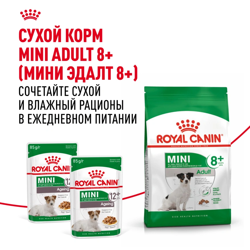 Влажный корм Royal Canin Mini Ageing 12+ в соусе для стареющих собак мелких пород старше 12 лет, пауч, 85 г фото 8