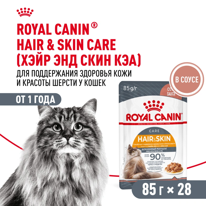 Влажный корм Royal Canin Hair & Skin Care в соусе для взрослых кошек старше 1 года, пауч, 85 г фото 13