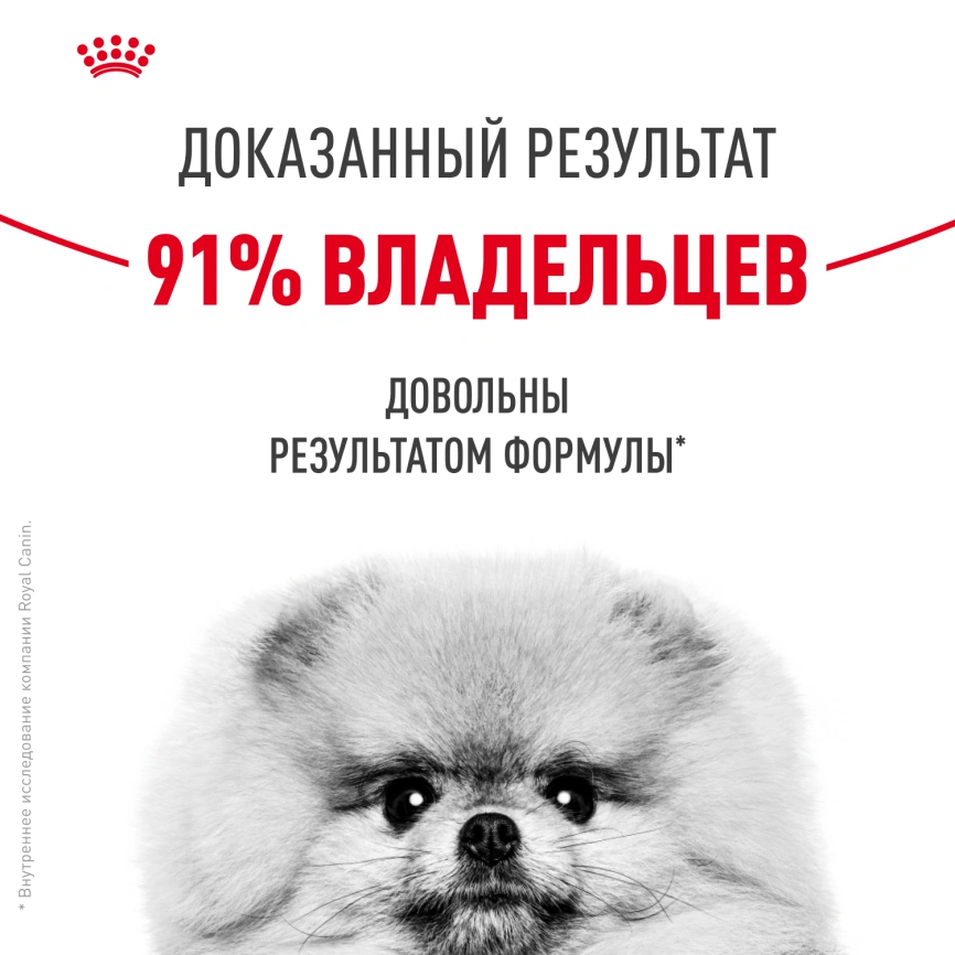 Сухой корм Royal Canin Mini Dermacomfort для собак, 3 кг фото 11