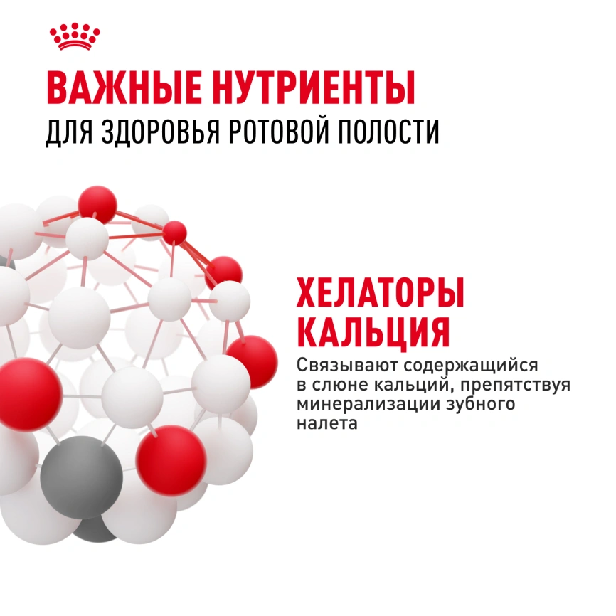 Сухой корм Royal Canin Dental Care для кошек, 400 г фото 5