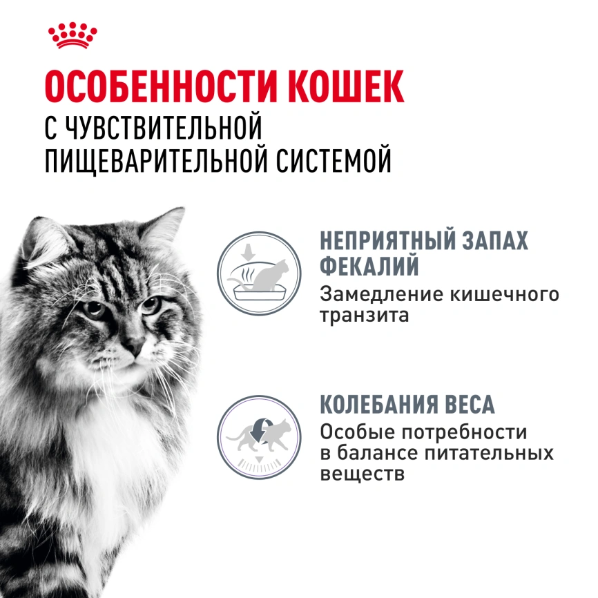 Влажный корм Royal Canin Digest Sensitive в соусе для улучшения пищеварения у взрослых кошек старше 1 года, пауч, 85 г фото 2