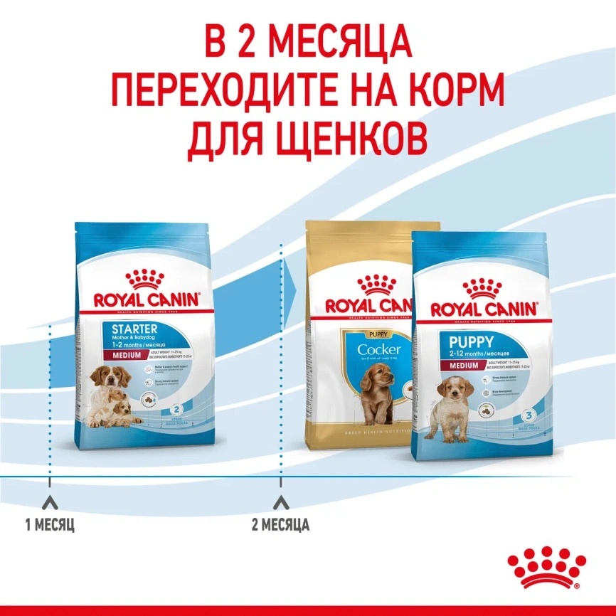 Сухой корм Royal Canin Medium Starter Mother & Babydog для собак, 12 кг фото 5