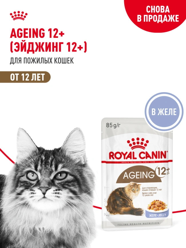 Влажный корм Royal Canin Ageing 12+ в желе для стареющих кошек старше 12 лет, пауч, 85 г фото 14