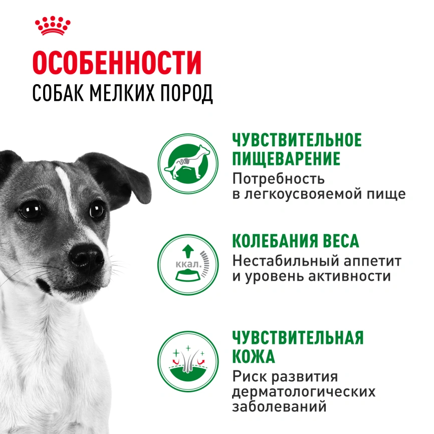 Влажный корм Royal Canin Mini Adult в соусе для взрослых собак мелких пород старше 10 месяцев, пауч, 85 г фото 9