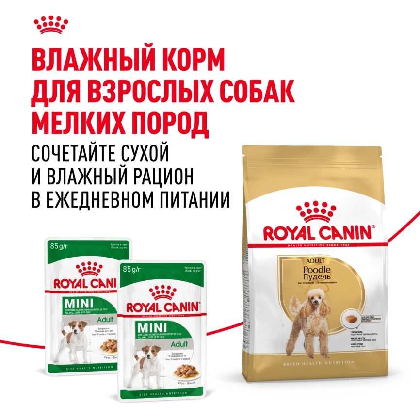 Сухой корм Royal Canin Poodle Adult для взрослых собак, 3 кг фото 8