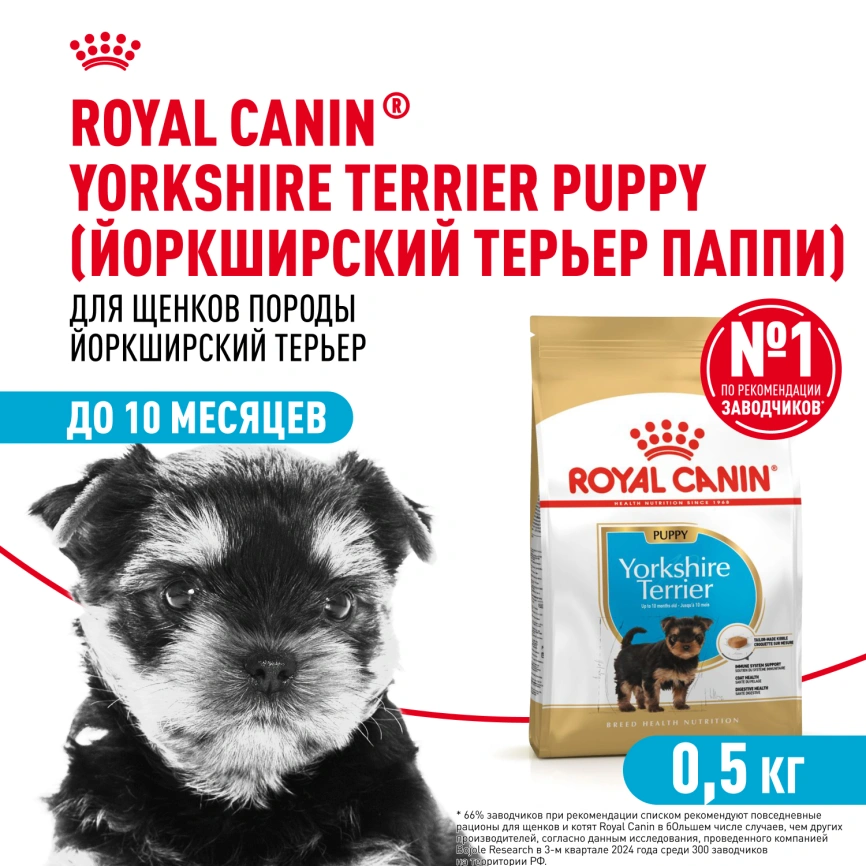 Сухой корм Royal Canin Yorkshire Terrier Puppy для щенков, 500 г фото 1