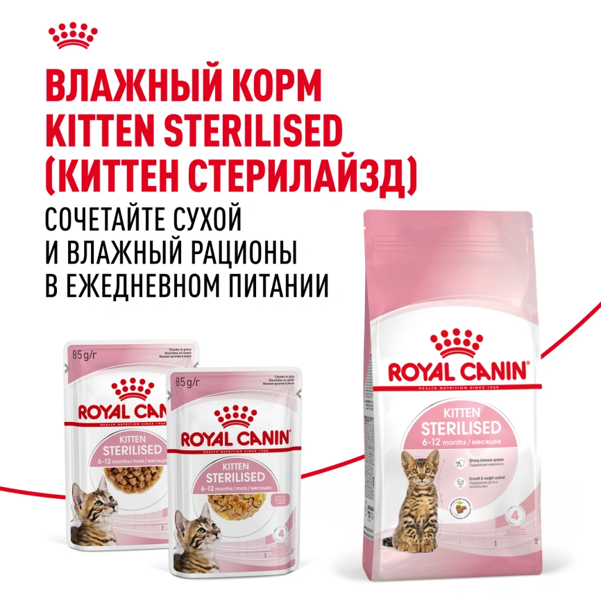 Сухой корм Royal Canin Kitten Sterilised для котят, 3.5 кг фото 8