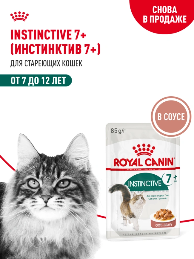 Влажный корм Royal Canin Instinctive 7+ в соусе для кошек старше 7 лет, пауч, 85 г фото 14