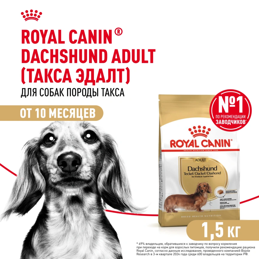 Сухой корм Royal Canin Dachshund Adult для собак породы такса, 1.5 кг фото 1